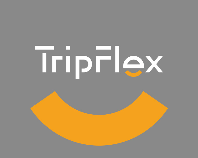 Tripflex汽车抱枕